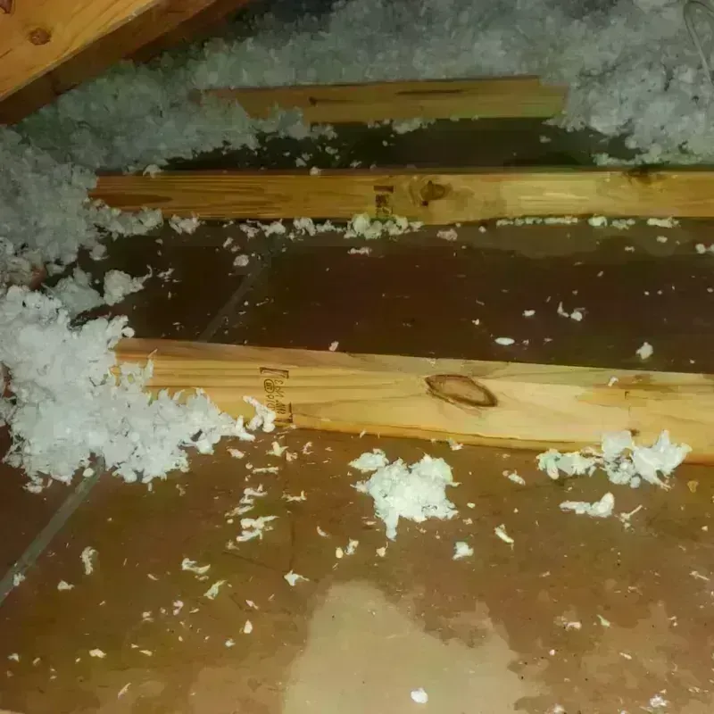 Attic Water Damage in Melville, RI